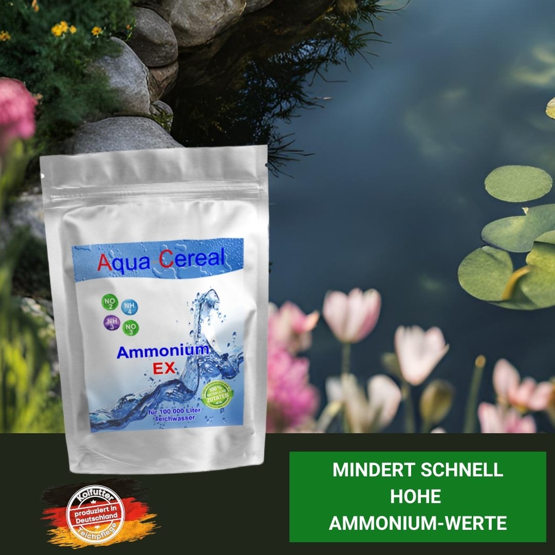 Ammonium Koi im Teich?
