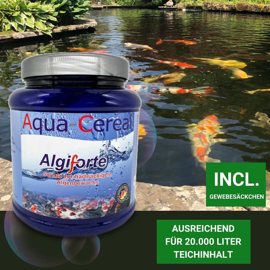 Algenvernichter Algiforte für 20.000L