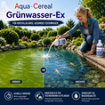Bild in Galerie-Betrachter laden, Grünwasser-Ex vorher nachher Vergleich