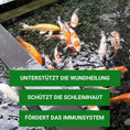 Bild in Galerie-Betrachter laden, KOI HUMIN Wundheilung