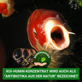 Bild in Galerie-Betrachter laden, KOI Humin wird auch als Antibiotikum aus der Natur bezeichnet