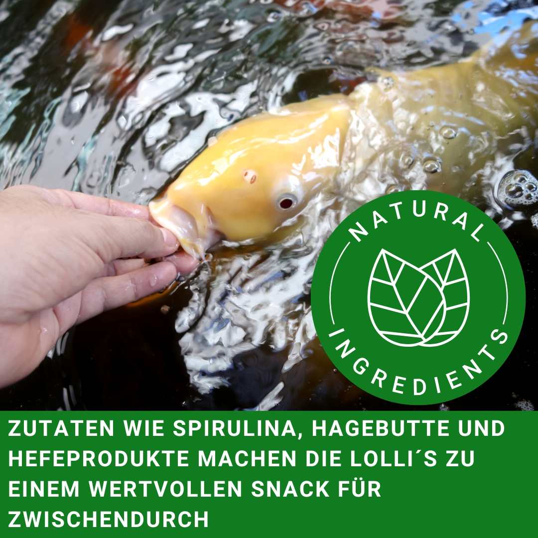 Koisnack das Koileckerli  mit Spirulina und Hagebutte
