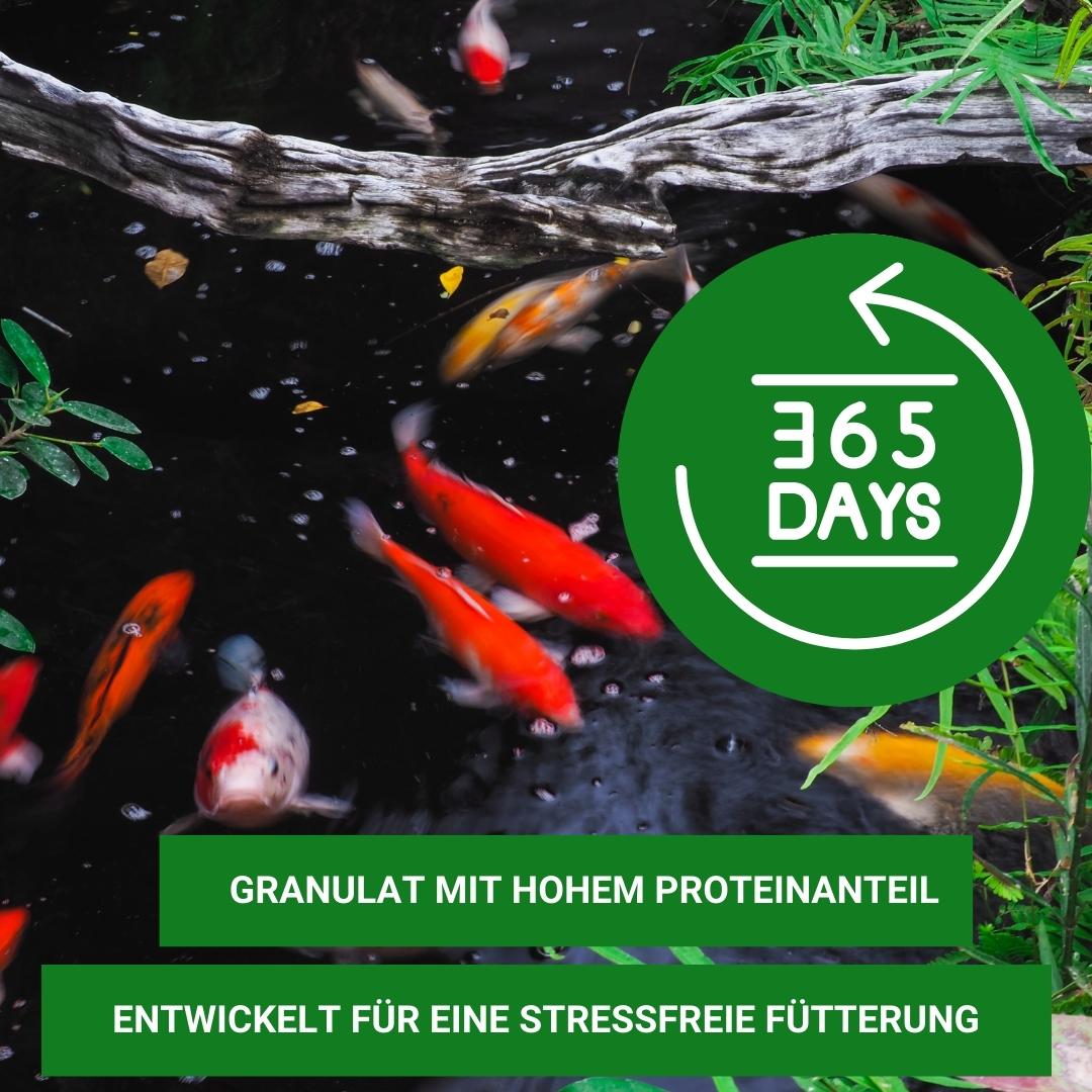 Koi Aufzuchtfutter
