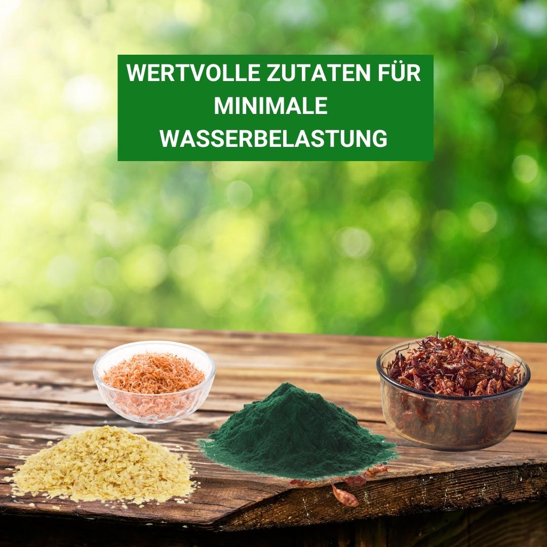Koi Aufzuchtfutter