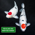 Bild in Galerie-Betrachter laden, Koifutter Farbfutter beste Qualität