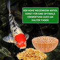 Bild in Galerie-Betrachter laden, Koifutter Wheat Germ