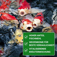 Bild in Galerie-Betrachter laden, Koifutter mit Fischmehl KENKOU Nr.1 VITAL