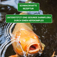 Bild in Galerie-Betrachter laden, Koifutter mit Spirulina unterstützt die Gesundheit der KOI