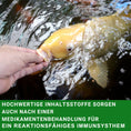 Bild in Galerie-Betrachter laden, Koifutter 3mm , 10 kg Premium