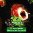 Bild in Galerie-Betrachter laden, Koifutter Cool Water mit Insektenmehl