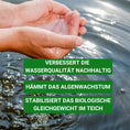 Bild in Galerie-Betrachter laden, Milchsäurebakterien verbessern die Wasserqualität im Teich
