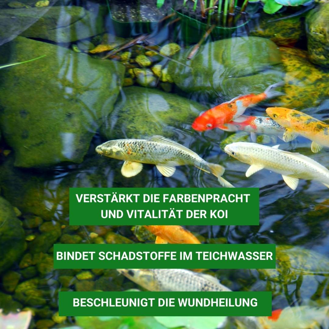 Mineral Plus bindet Schadstoffe im Teichwasser