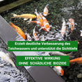 Bild in Galerie-Betrachter laden, Pond-Repair Fadenalgenvernichter