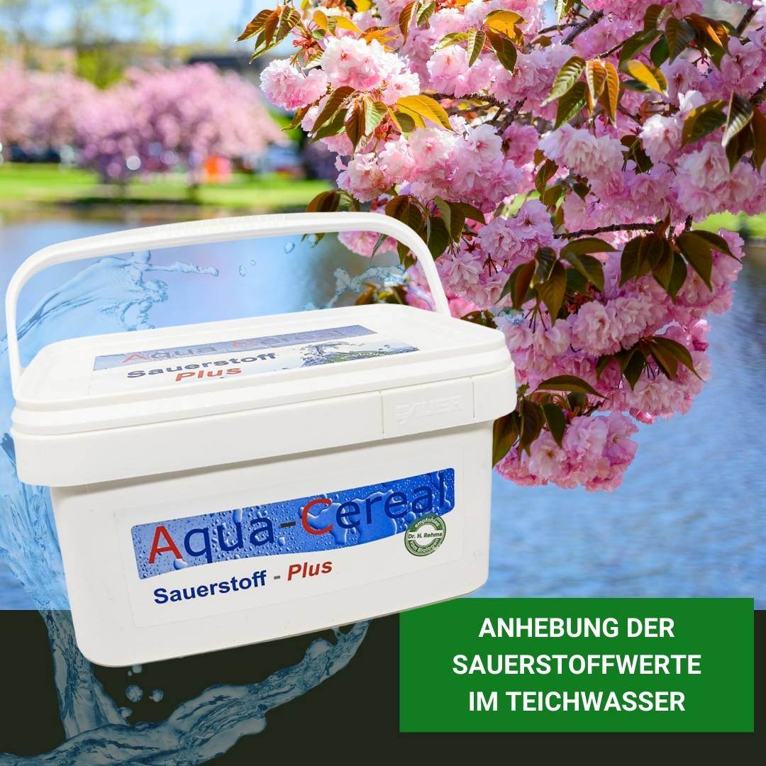 Sauerstoffmangel im Teich vorbeugen