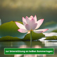 Bild in Galerie-Betrachter laden, Sauerstoff erhöhen im Sommer