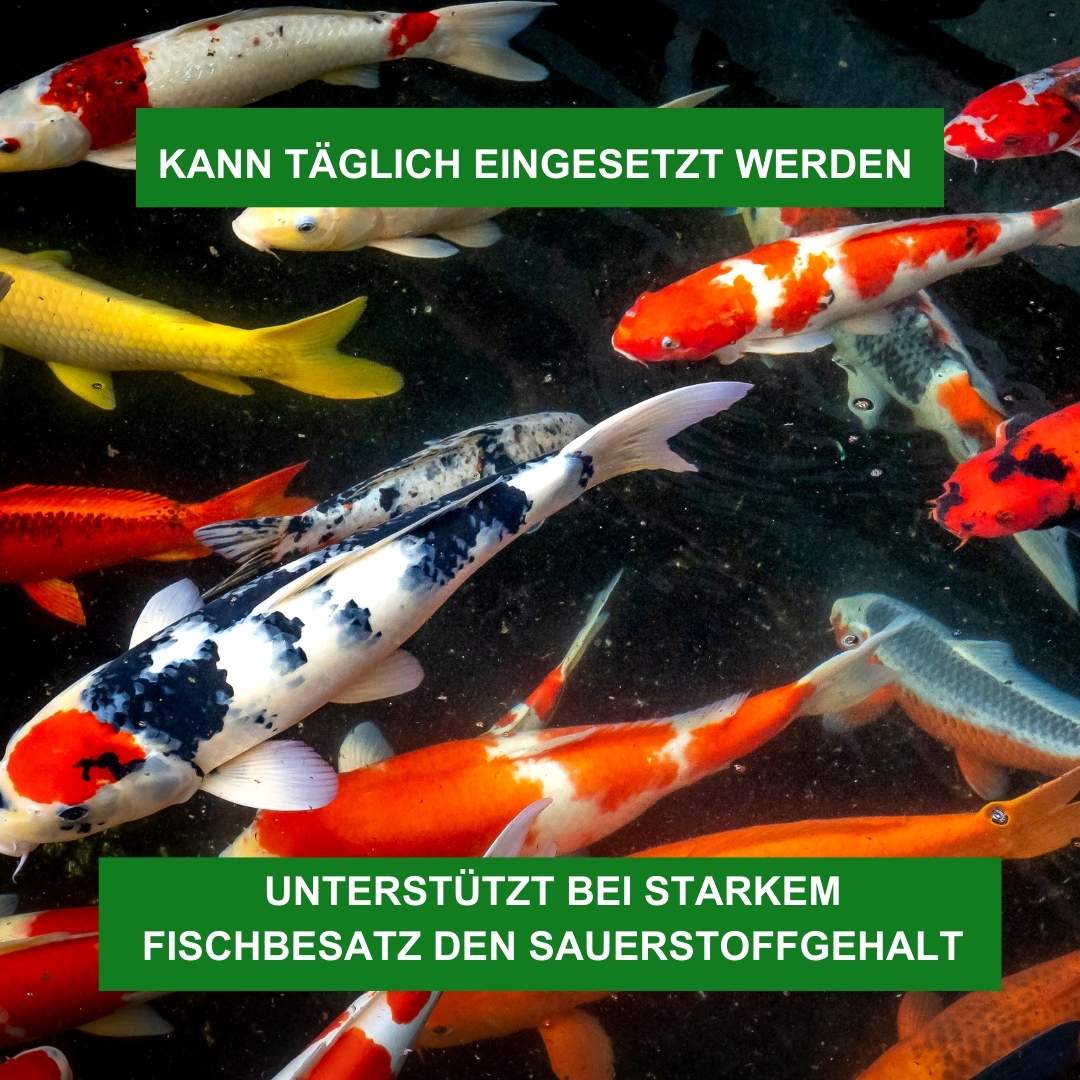 Sauerstoffgehalt erhöhen bei starkem Fischbesatz