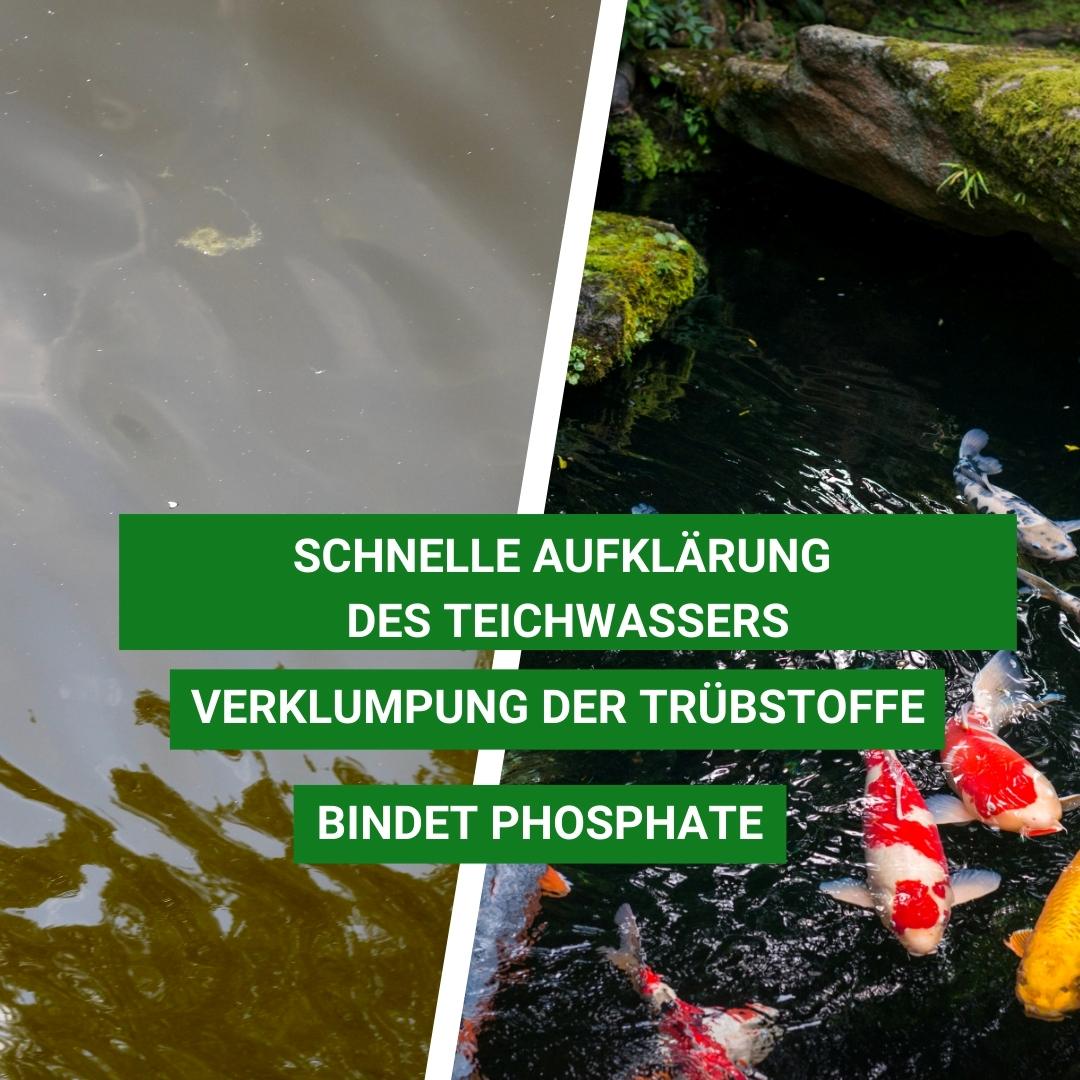 Teichklar