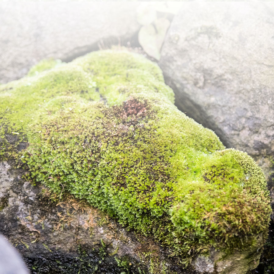 Wasserzusätze für stabile wasserwerte