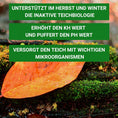 Bild in Galerie-Betrachter laden, Winterstabil für Teiche