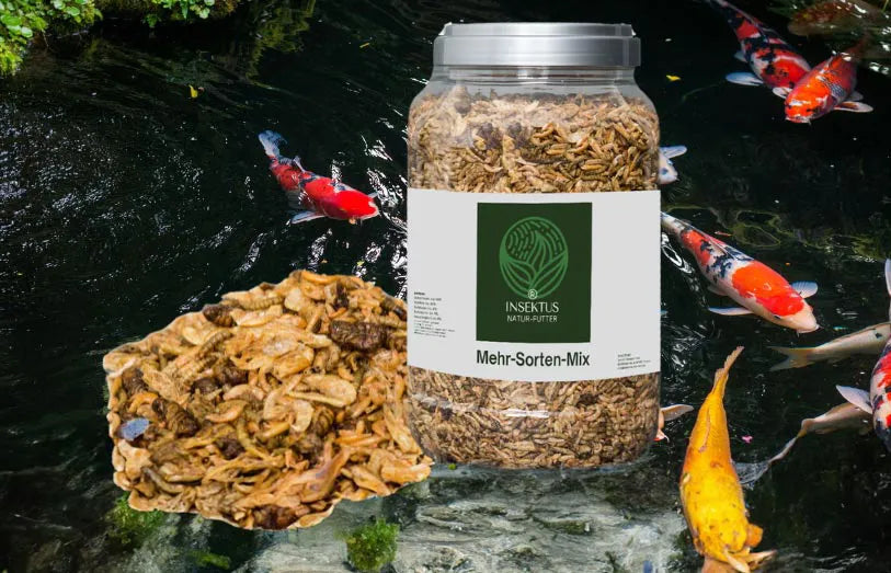 Naturfutter Mehlwürmer