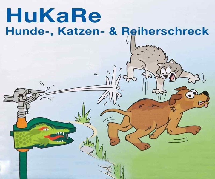 Reiherschreck HuKaRe von Osaga - Reiherschreck HuKaRe von Osaga - Niederrhein-Koi