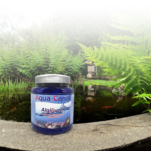 Fadenalgen im Teich bekämpfen