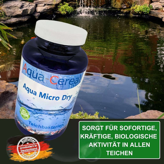 Filterbakterien