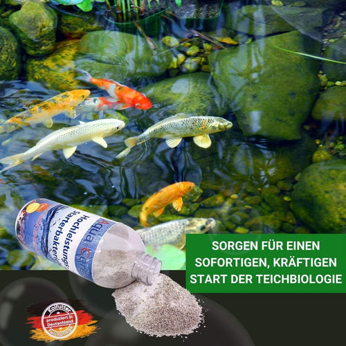 Teichbakterien mit Indikator