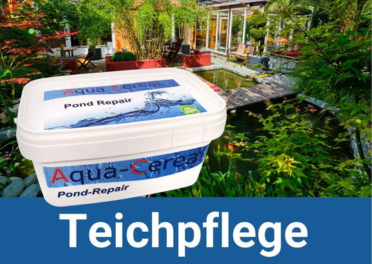 Frühlingsstart im Koiteich