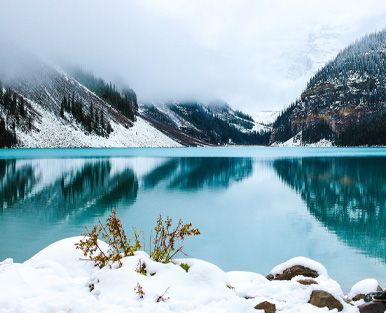 Teich im Winter