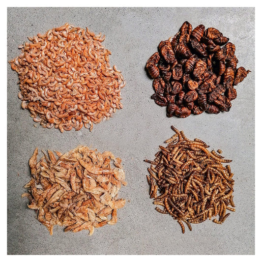 Naturfutter - Mehlwürmer,Seidenraupen,Gamarus