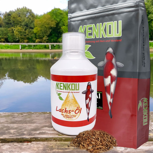 Karpfenfutter selbst machen