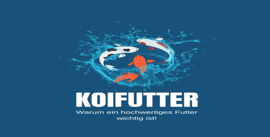 Koifutter - warum ist ein hochwertiges Futter wichtig? - Niederrhein-KOI