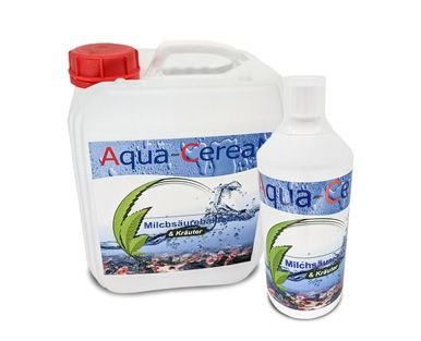 Milchsäurebakterien Teich Erfahrungen