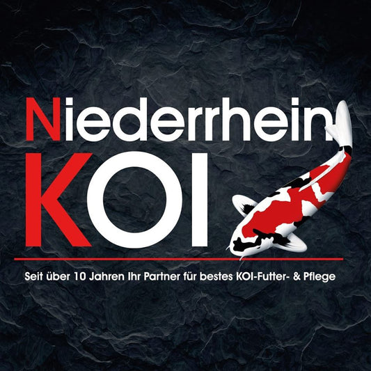 Spaltsiebfilter - Effiziente Teichreinigung einfach erklärt - Niederrhein-KOI