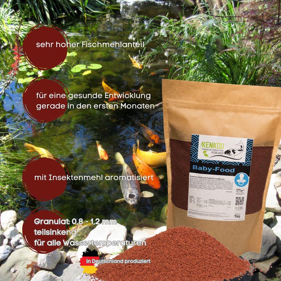 Koi Aufzuchtfutter - der Grundstein für starke Koi