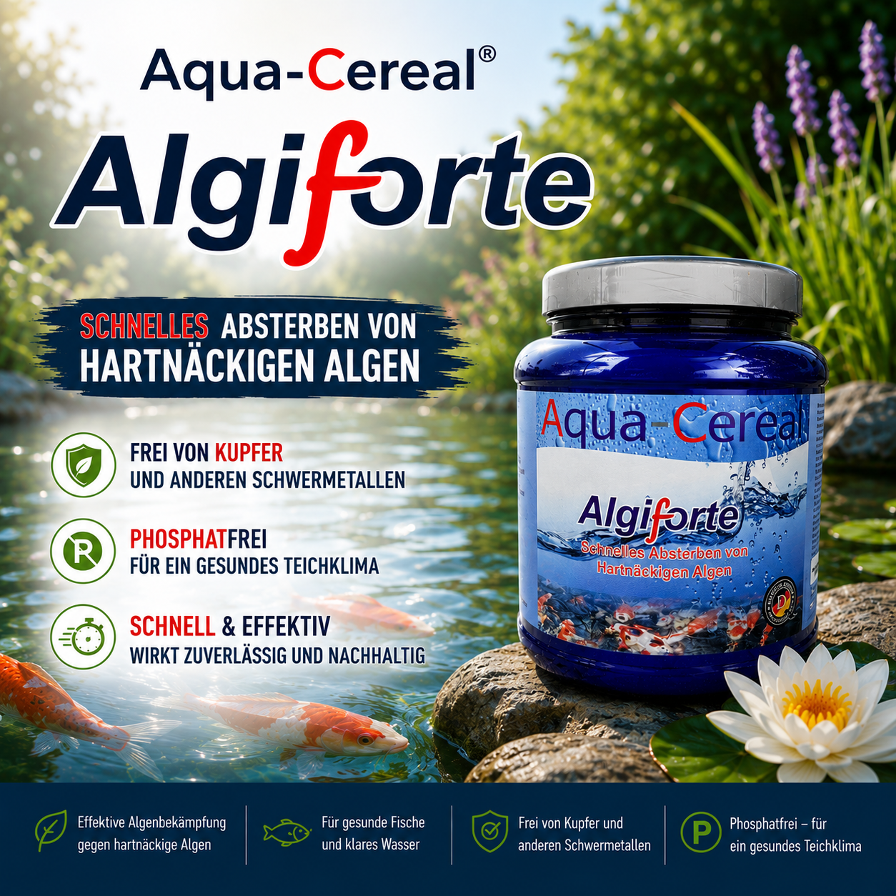 Algiforte bei hartnäckigen Algen
