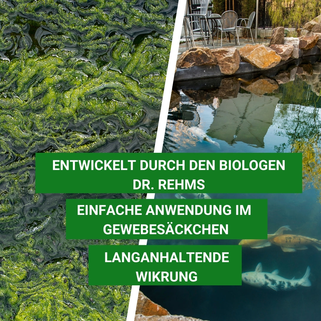 Algiforte mit langanhaltender Wirkung gegen Fadenalgen