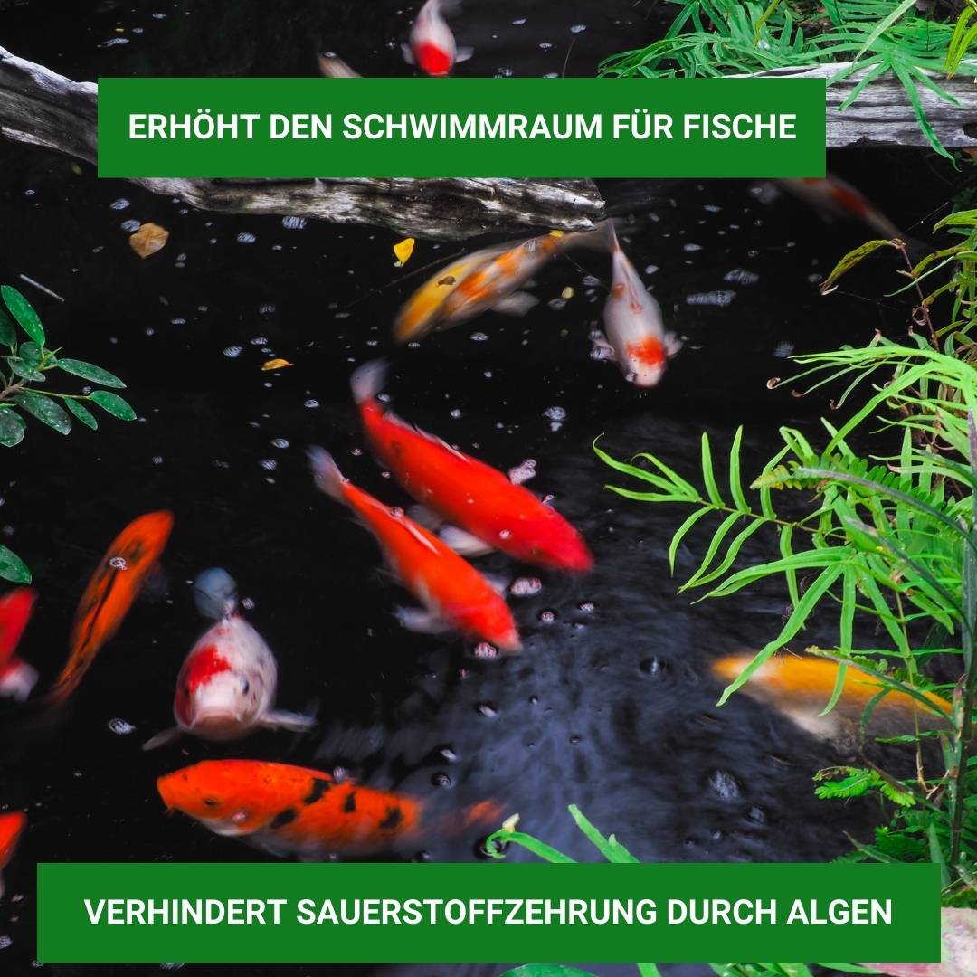 Algiforte wirkt schnell gegen Fadenalgen