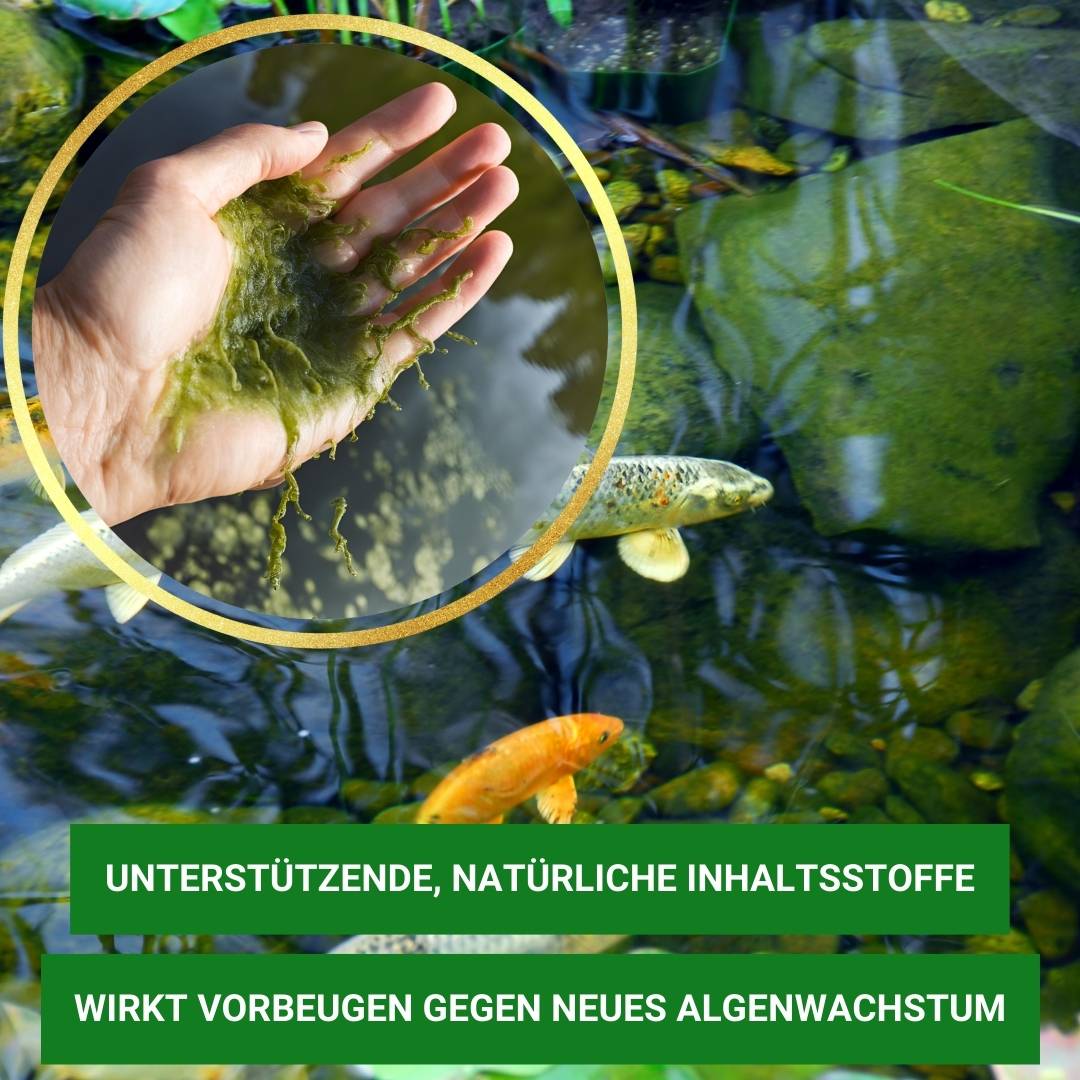 Algiforte wirkt bei vielen Algenarten