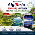Bild in Galerie-Betrachter laden, Algiforte vorher, nachher Vergleich
