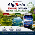 Bild in Galerie-Betrachter laden, Algiforte Vorher Nachher Vergleich

