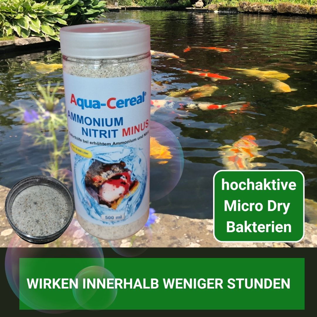 Ammonium und Nitrit  Minus Bakterien wirken sofort 