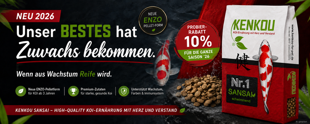 Koifutter mit 10% Rabatt