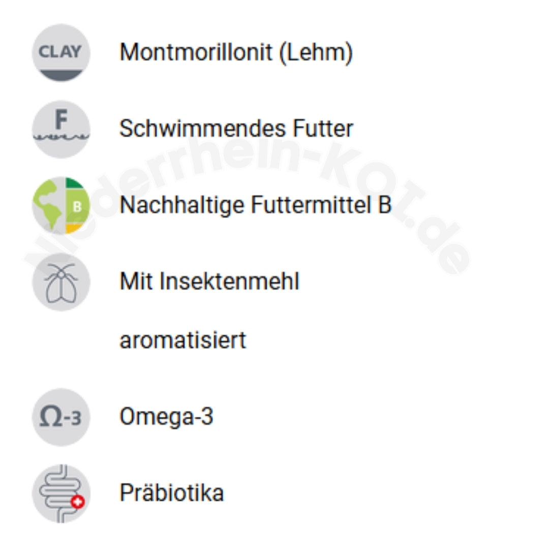 Weitere  Informationen