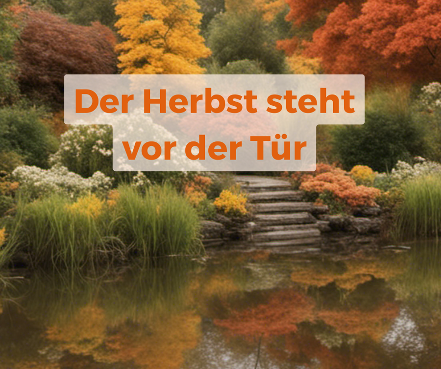 Mobiles Bild