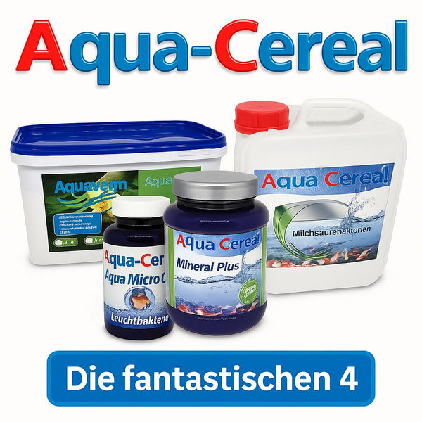 Die fantastischen VIER Wasserpflege "Spar-Set"