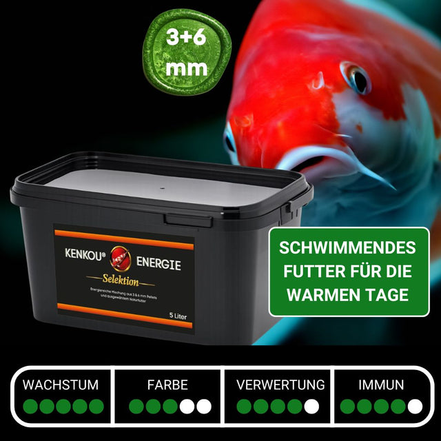 schwimmendes Futter für warme Tage