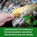 Bild in Galerie-Betrachter laden, hoher Proteingehalt für gutes Wachstum

