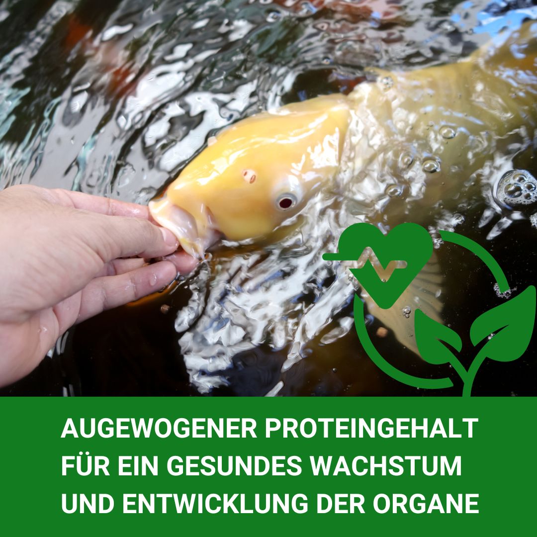hoher Proteingehalt für gutes Wachstum
